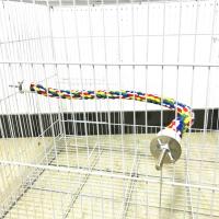 Juguete Para Pájaros De Algodón Colorido Con Correa Y Perches Para Masticar Juguete De Aire Libre Para Cages De Pájaros Juguete De Subida Y Colgaje Para Pájaros Periquitos - details 2
