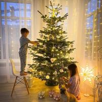 Guirnalda De Luces LED Verdes Para Arbol De Navidad Decoración De Hogar Y Exterior Impermeable Mini LED Para Fiesta Y Boda - details 4