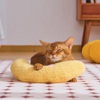 Almohada U Para Gatos Y Perros Pequeños Protector De Cuello Estilo Moda Almohada De Cabeza Para Gatos Juguete Calmante Para Mascotas Suave Y Cómoda - details 1