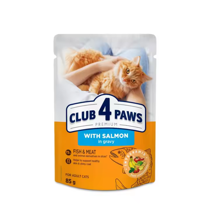 Comida húmeda completa para gatos adultos CLUB 4 PAWS PREMIUM-Salmon en gelatina PACK 24*85g - 1