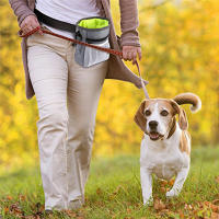 Bolsa Portátil Para Alimentos De Perro Gran Capacidad Para Entrenamiento Y Alimentación Mochila De Cintura Para Entrenador De Mascotas - details 2