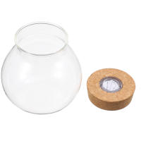 Botella De Terrario De Vidrio Borosilicato Ecológico Con Tapa Y Moss Para DIY Mini Acuario Landscape Blanco Sin LED - details 1