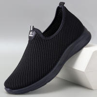 Imagen principal 13.jpg