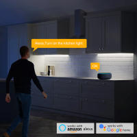 Tira De Luces LED COB Tuya Smart WiFi DC5V Silicón Tubo 320leds/M Iluminación Para Pared Dormitorio Armario De Cocina Retroiluminación - details 5