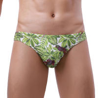 Bikini De Verano Para Hombres Briefs De Natación Sexy Surf Rápidamente Secos Trajes De Baño Cortos De Playa Moda Masculina - details 0