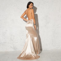 Vestido De Seda Elástico Con Cuello En V Y Espalda Descubierta Para Fiesta De Noche Boda Y Compromiso Vestido De Noche De Mujer Longitud Del Piso Estilo Mermaid Sin Mangas - details 4