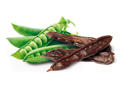Alimento seco para perros OWNAT CLASSIC LIGHT - Alimento ligero y nutritivo para tu mascota Platz K9 S.L. - details 4