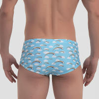 Traje De Baño Para Hombre Bikini Surfeo Shorts Boxer Estilo Tradicional Arco Iris Sexy Ropa Deportiva Para La Playa Y Piscina - details 2