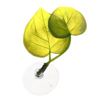 Planta Artificial Para Acuario Hojas Decorativas Para Descanso Y Reproducción De Betta Decoración De Juguete Para Peces Tamaño Único - details 9