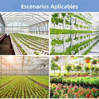 Lámpara De Cultivo De Plantas LED De 200W Espectro Completo Para Suculentas Jardín De Hojas Frutas Verduras Flores Iluminación De Relleno - details 10