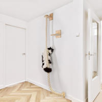 Juego De 2 Puestos Para Gatos Con Cuerda De Escalada Y Estante Montado En La Pared Gym De Selva Para Gatos Domésticos Interiores Poste De Rascado Escalera Juguete Interactivo - details 1