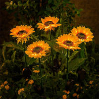 3/1-Head Artificial Girasol Solar Con Luz LED Para Jardín Instalación Por Montaje No Incluye Bombillas Decoración Para Villa Courtyard Halloween Navidad Y Año Nuevo - details 8