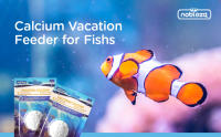 Nobleza - Alimento de Peces para Vacaciones para 15 Días, 4 PACK - details 0