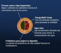Tetra PRO Energy Multi Crisps, alimento completo, mejora la vitalidad de los peces - details 1