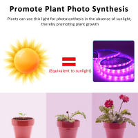 Luz De Crecimiento LED USB 5V 2835 Para Plantas Completo Espectro Lámpara De Cinta Para Vegetal Flor Estufa Cultivo 1M 2M 3M 4M 5M - details 2