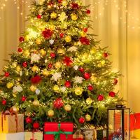 Guirnalda De Navidad LED 3.5/5M Con Luz De Estrella Y Remoto USB Foco De Fierro Con Cable De Cobre Luces De Fiesta En Cadena - details 4