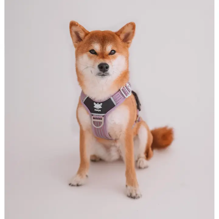 Foxys Arnés Pro Ajustable Para Perro Antitirones Ergonómico Lila - 1