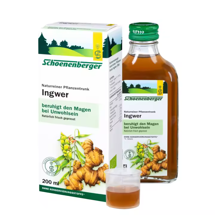 JUGO JENGIBRE ECO 200 ML - 1