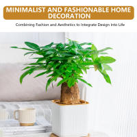Vaso De Plástico Para Plantas Verdes En Sistemas De Riego Automático Moderno Para El Hogar Regalo Para Amantes Del Jardín Y Flores - details 5