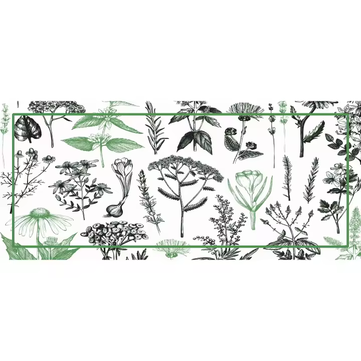 VINILIKO, Alfombra de vinilo Plantass medicinales menta - 1
