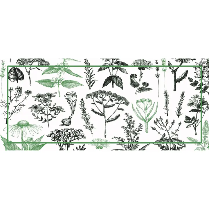 VINILIKO, Alfombra de vinilo Plantass medicinales menta - 1