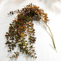 Planta Artificial De Eucalipto Falso 104cm Rattan Vinatera Para Decoración De Jardín Interior Y Exterior Bodas Y Oficinas - details 9