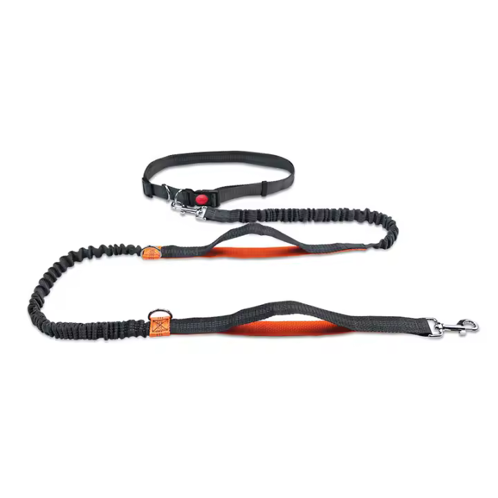 Correa Retráctil Reflectante Para Perros De Mano Libre Para Correr Al Aire Libre Correa Dual De Cadena Para Mascotas Para Todas Las Estaciones - 1