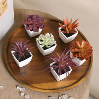 Set De 6 Suculentas Artificiales Miniatura En Vaso Blanco Para Decoración De Escritorio Librería Restaurante Y Ventanas Casas - details 22
