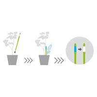 Medidor de humedad del suelo para plantas de Interior (juego de 5) - details 2
