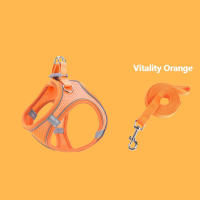 Correa Para Perros Y Gatos Nuevo Tipo De Correa De Pecho Con Cuello Colorido Set De Correas Para Pasear Mascotas Suministros Para Mascotas - details 2