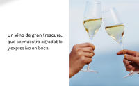 Ederra Verdejo - Vino blanco DO Rueda - Caja 6 botellas 75cl - details 3