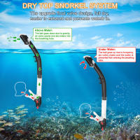 Juego De Snorkel Para Adultos Mascarilla De Natación Con Cámara GoPro Deportes Acuáticos Anti-Vaho Gafas Secas Tubo De Snorkel Profesional - details 18