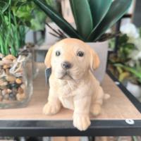 LILI HOME 🐶 Figuras de Perros de 🐾 Bulldog Inglés, 🐾 Bulldog Francés, 🐾 Dachshund (Salchicha), 🐾 Jack Russell Terrier, 🐾 Pug, 🐾 Labrador Retriever y 🐾 Rottweiler. Grande: 22 x 12 x 17 cm Peque: 11 x 9 x 11.5 cm - details 3