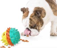 Juegos para Perros masticadores agresores, juguetes para Perros dispensadores de golosinas, Juguetes - details 1
