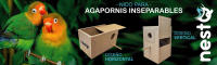 Nido para Agapornis Iseparables nestQ con Viruta para la Cama, Casita de Cría de Madera para Pájaros, con Enganches para la Jaulas de Aves, 22cm x 13.5cm x 13.5cm - details 0