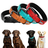 Collar De Cuero Para Perros Ajustable Y Padded Para Pequeños Medianos Y Grandes Incluye Accesorios Para Pug Bulldog Francés - details 1