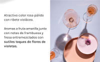 Raimat Clamor Rosé Eco - Vino Rosado - Caja 6 botellas 75cl - details 3
