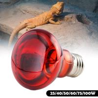 Lámpara De Calentamiento Infrarrojo E27 Para Peces Pájaros Plantas Reptiles Anfibios Y Ganado 25W-100W Herramienta De Aislamiento Térmico - details 17