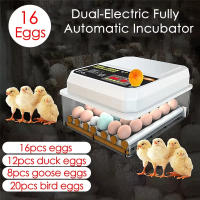 Incubador De Huevos Automático Para Pollos Pato Ganso Pichón Mini Brooder Doméstico 16 Huevos Herramienta Esencial Para Granjas Y Aves De Corral - details 0