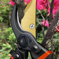 Tijeras De Poda Para Frutas De Pico De Águila Dorado De 10 Pulgadas Eficientes En Energía Para Jardinería Floral Y Uso Doméstico Poda De Ramas Rugosas - details 0