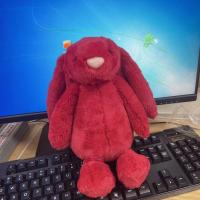 Muñeco De Peluche Jelly Cat Conejo Rojo De Navidad 30cm Juguete Interactivo Para Perros Y Gatos Suave Y Soothing Decoración Para El Hogar Regalo Para Mascotas - details 0