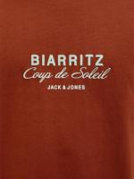 Jack & Jones SS25 Hombre Pack 2 Camisetas de Algodón Mod JORCANGGU CHEST logo estampado Moda Casual Informal REF 277227 - details 4