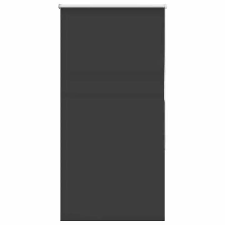 Estor Enrollable Opaco negro 65x130 cm Tela Ancho 60,7 cm - 1