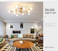 Modern Sputnik Ceilin Ganchillo Lámpara Colgante Satellite Iluminación Fuente De Luz Decorativa Para Sala De Estar Y Comedor Material De Hierro - details 9