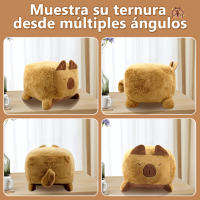 Easyspeed Peluche Capibara, Forma Cojín Cuadrado 45x45 CM Peluche Capybara para Niños y Niñas Carpincho Kapibara Ideal Regalo - details 1