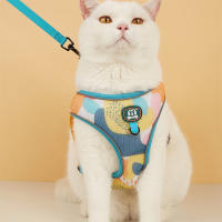 Nueva Llegada De Correa Y Amigo De Mascota Ajustable Con Diseño Moda En Malla Suave Para Gatos Y Perros Conjunto De Correa Y Amigo De Mascota - details 13