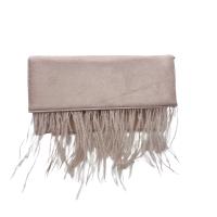 Bolso de Fiesta Bolso plano sobre de Mano Antelina Solapa con Plumas - details 6
