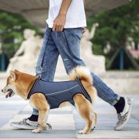 Almohadilla De Soporte Para Perros Con Enjalmas Transpirables Y Acolchadas Para Ancianos Discapacitados Lesiones Articulares Artritis Caminar - details 8