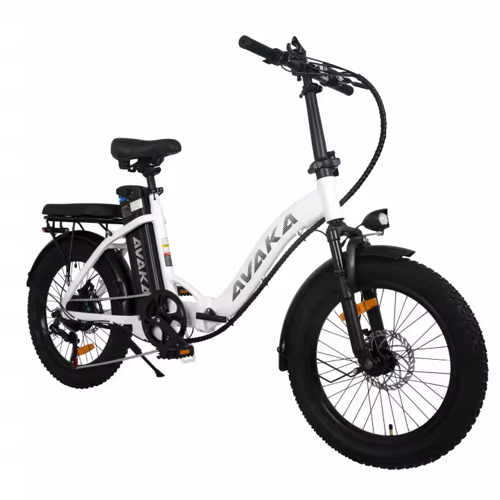 Bicicleta Eléctrica Plegable AVAKA BZ20 Plus 20 pulgadas 48V18.2Ah - Motor 500W-Brake de Disco Doble - Rueda Grasa 3,0 "-Bathería Extraible-Pantalla LCD - 1