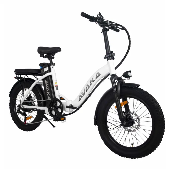 Bicicleta Eléctrica Plegable AVAKA BZ20 Plus 20 pulgadas 48V18.2Ah - Motor 500W-Brake de Disco Doble - Rueda Grasa 3,0 "-Bathería Extraible-Pantalla LCD - 1